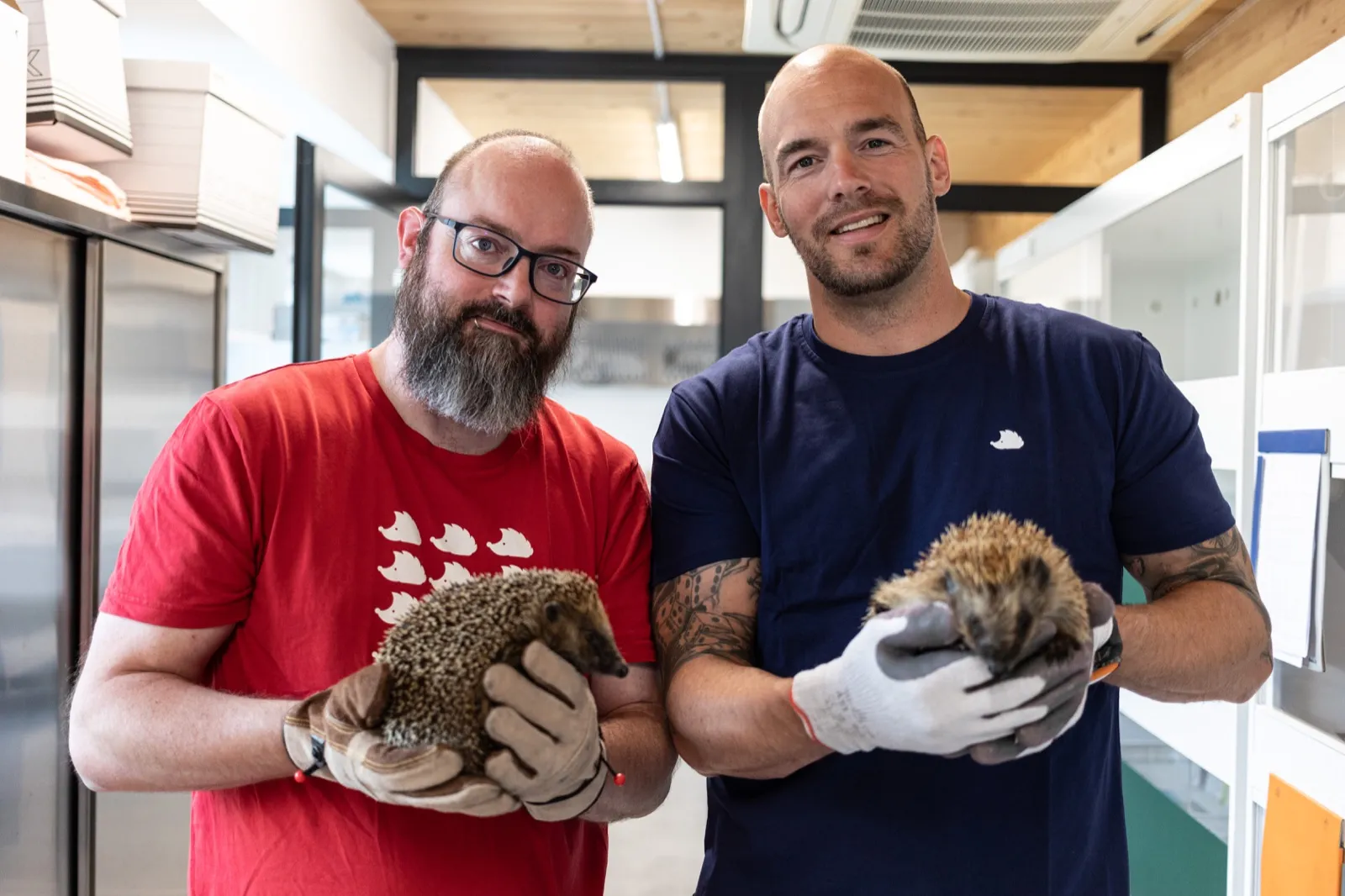 Michael Klauser und Piet Umiker halten in der Igelstation je einen Igel