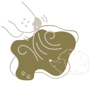 Logo Verein Igelspürhund