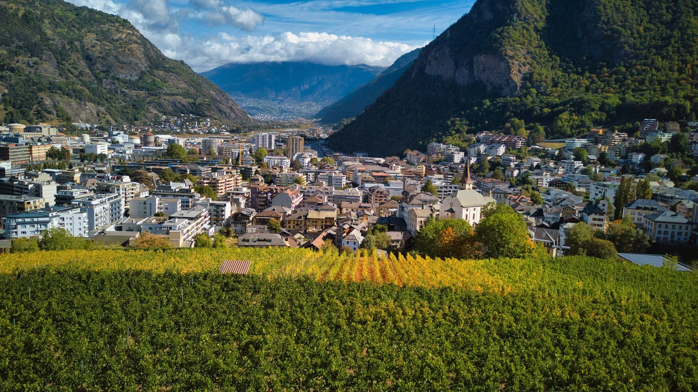Rebberg im Vordergrund, dahinter Visp im Rhonetal zwischen den Bergen